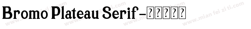 Bromo Plateau Serif字体转换
